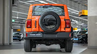 Tank 300