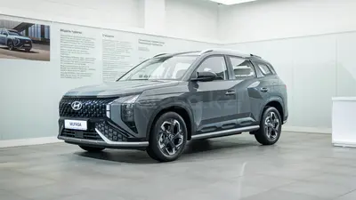 Hyundai Mufasa