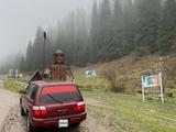 Subaru Forester 2001 года за 3 300 000 тг. в Алматы – фото 2